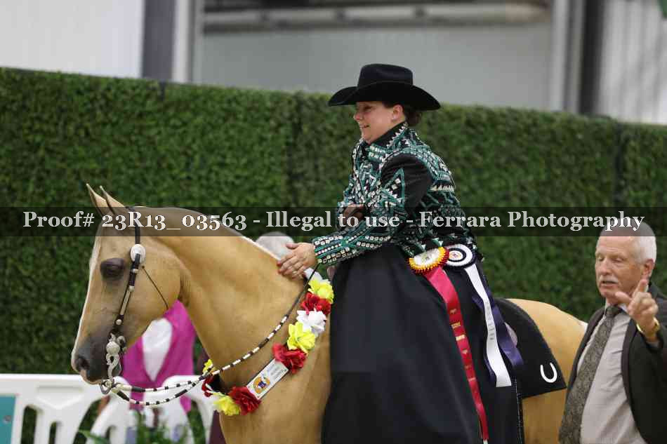 Proof 23R13_03563