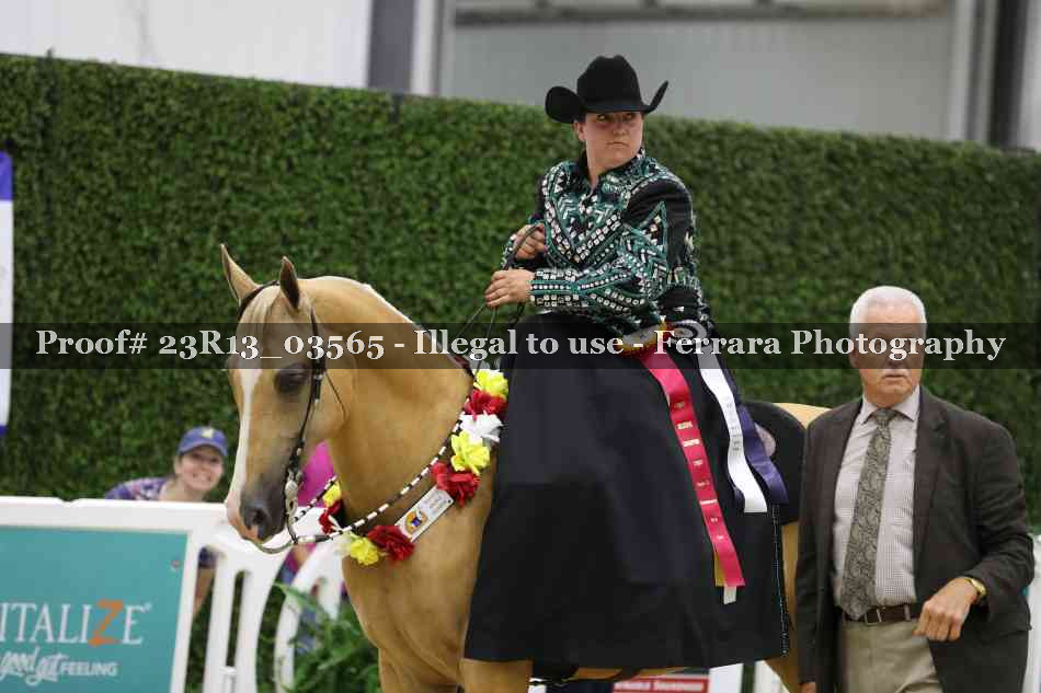 Proof 23R13_03565