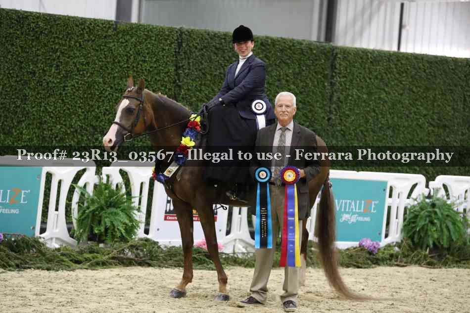 Proof 23R13_03567