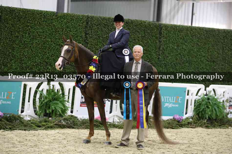 Proof 23R13_03570