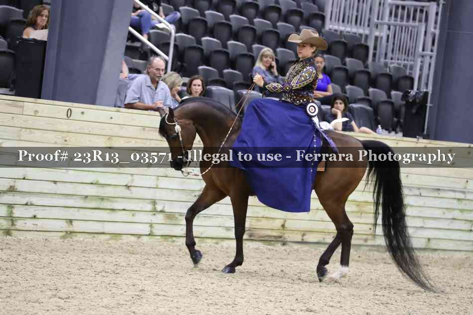 Proof 23R13_03571