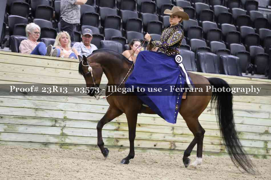 Proof 23R13_03573