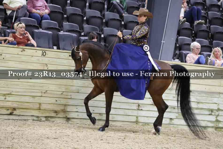 Proof 23R13_03574