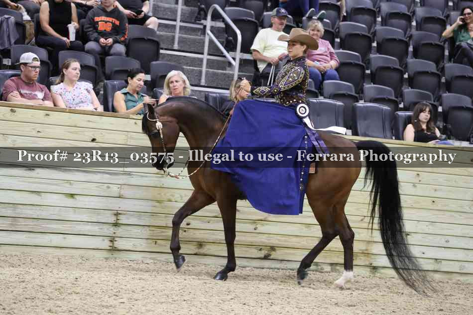 Proof 23R13_03575