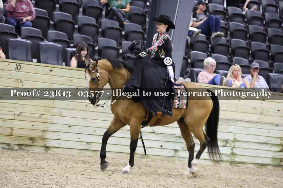 Proof 23R13_03577