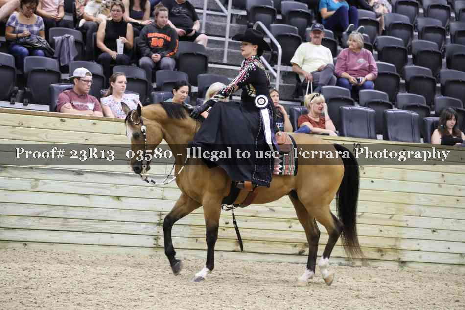 Proof 23R13_03580