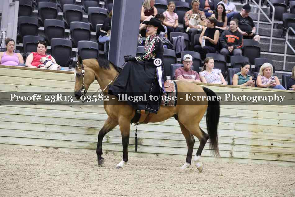 Proof 23R13_03582