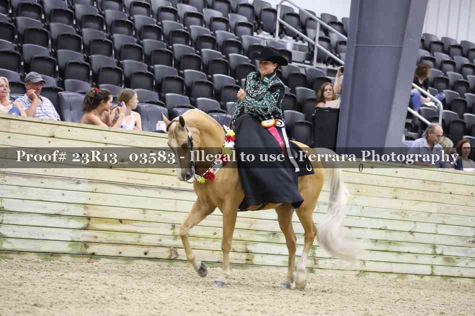Proof 23R13_03583