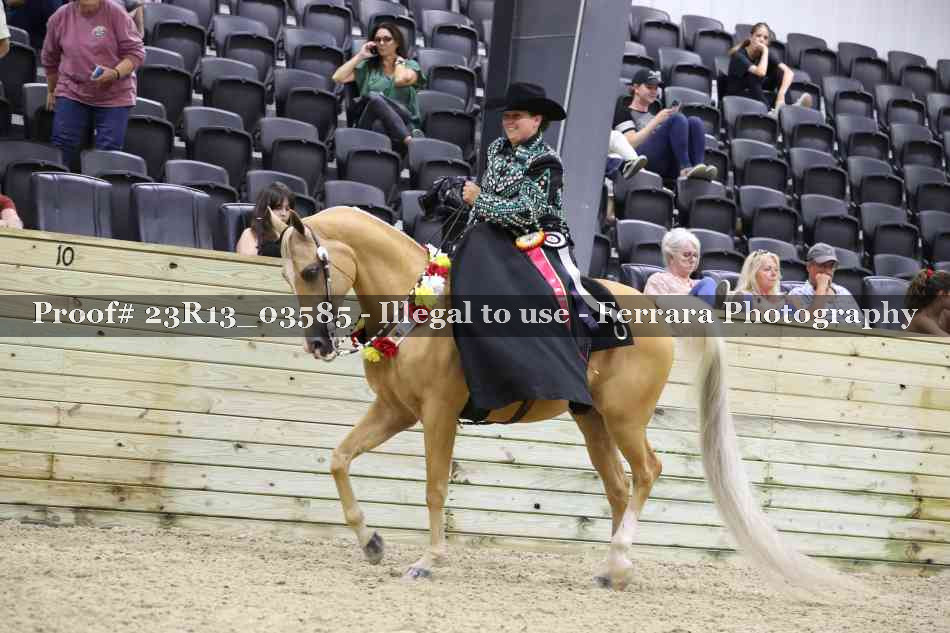 Proof 23R13_03585