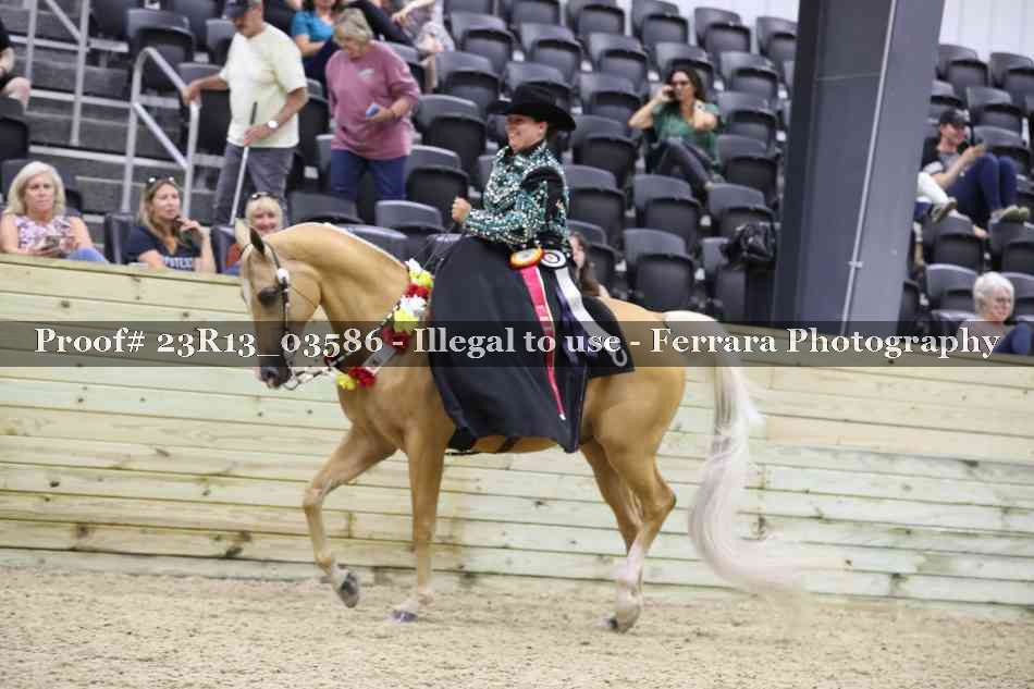 Proof 23R13_03586