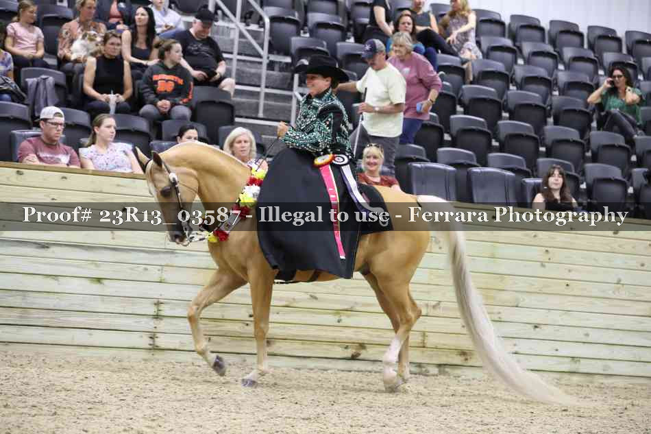 Proof 23R13_03587