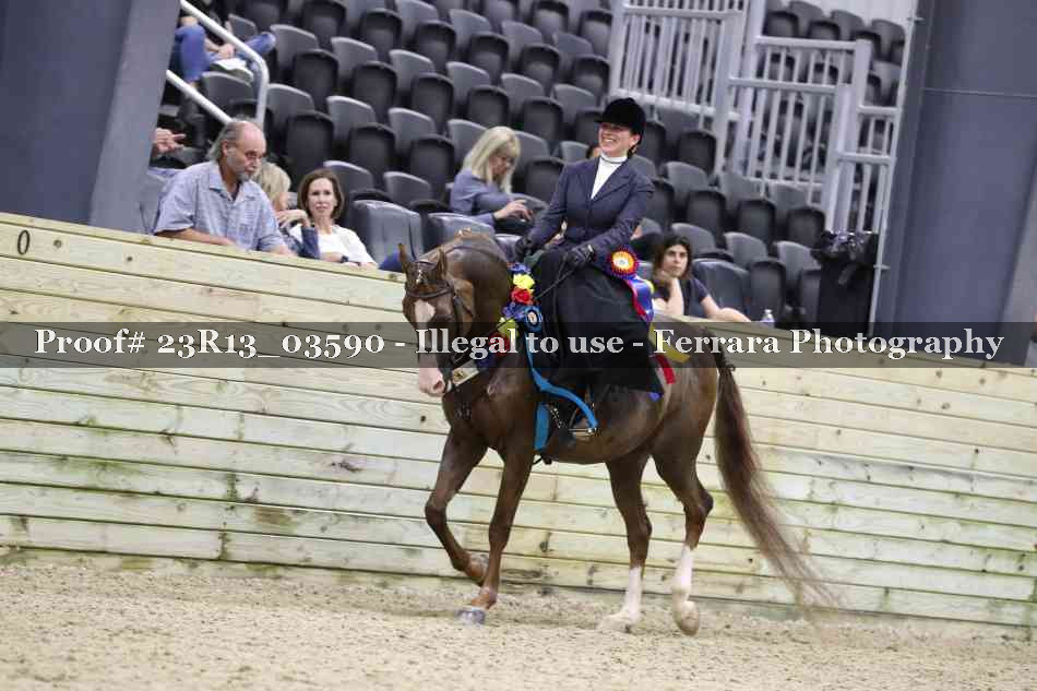Proof 23R13_03590