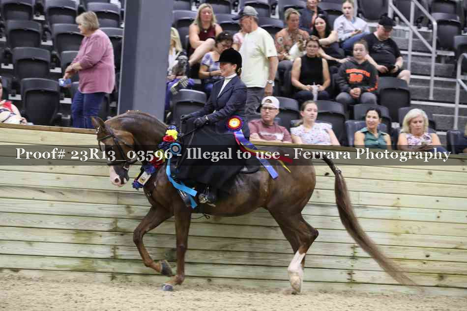 Proof 23R13_03596