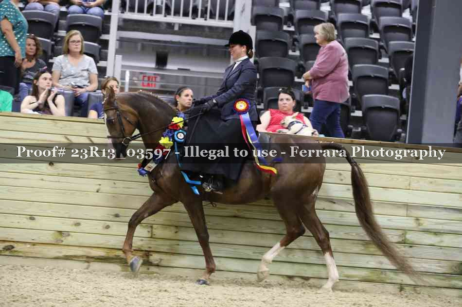 Proof 23R13_03597