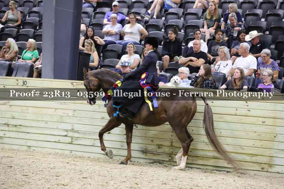 Proof 23R13_03599