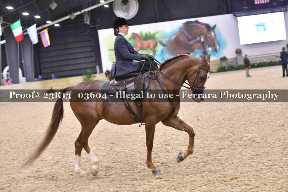 Proof 23R13_03604