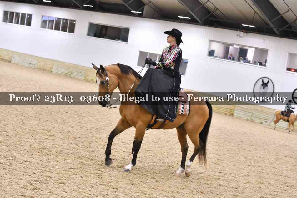 Proof 23R13_03608