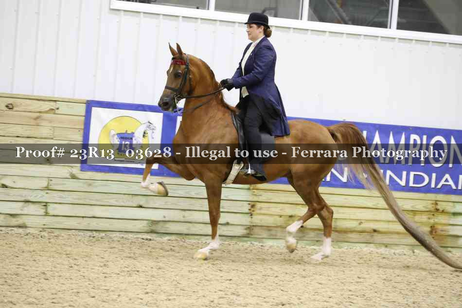 Proof 23R13_03628