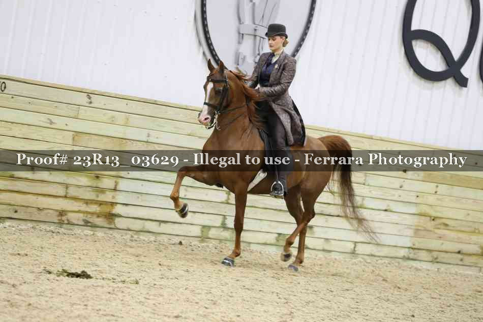 Proof 23R13_03629