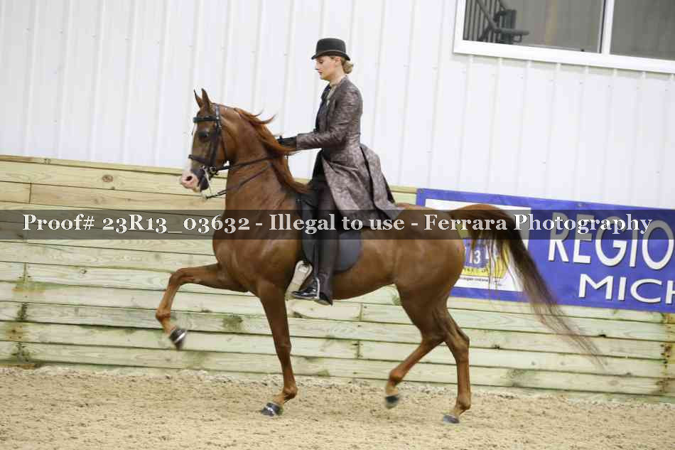 Proof 23R13_03632
