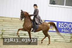 23R13_03632 proof