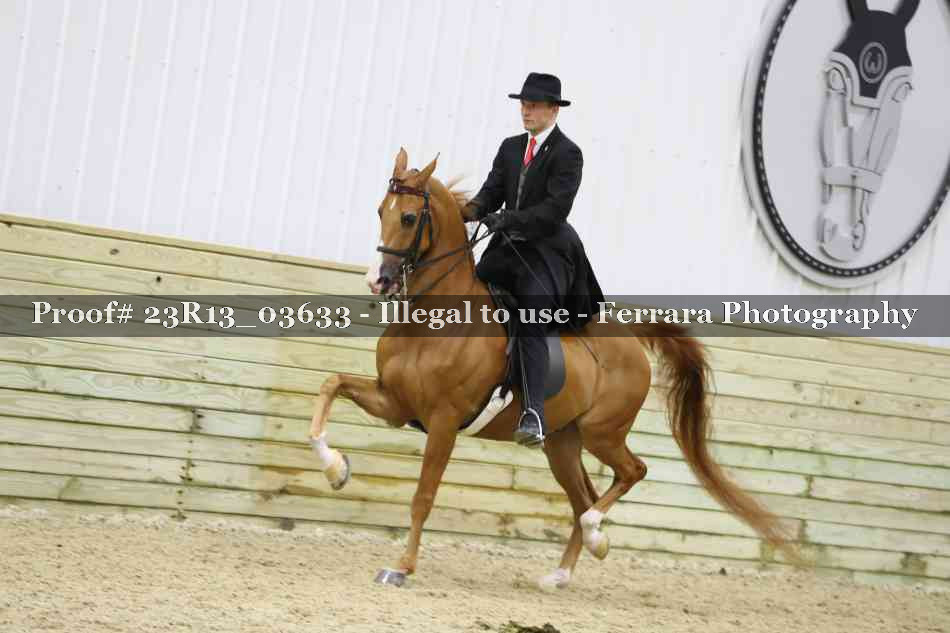 Proof 23R13_03633