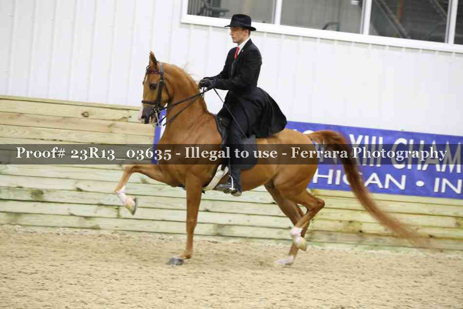 Proof 23R13_03635