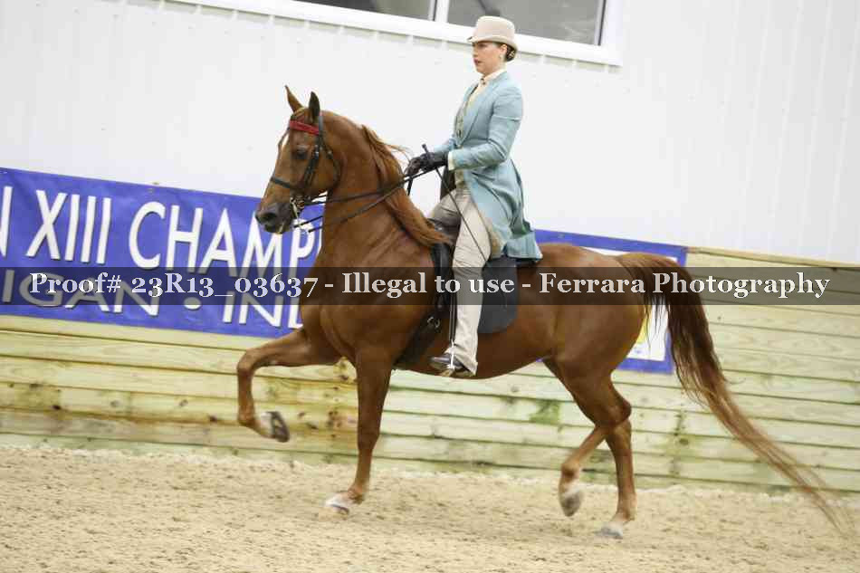 Proof 23R13_03637