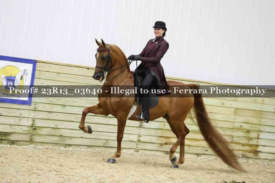 Proof 23R13_03640