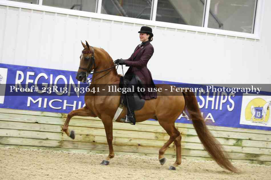 Proof 23R13_03641