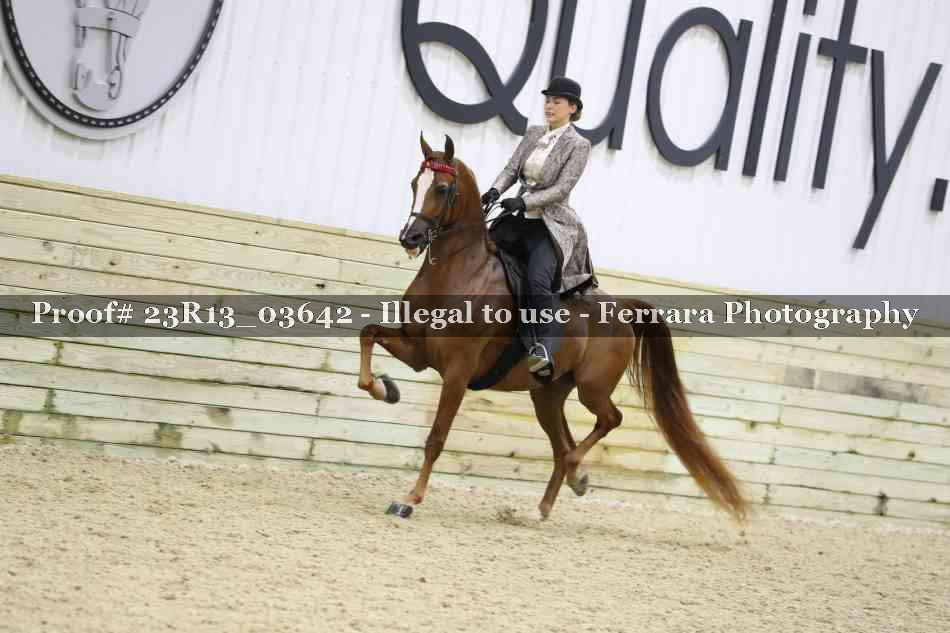 Proof 23R13_03642
