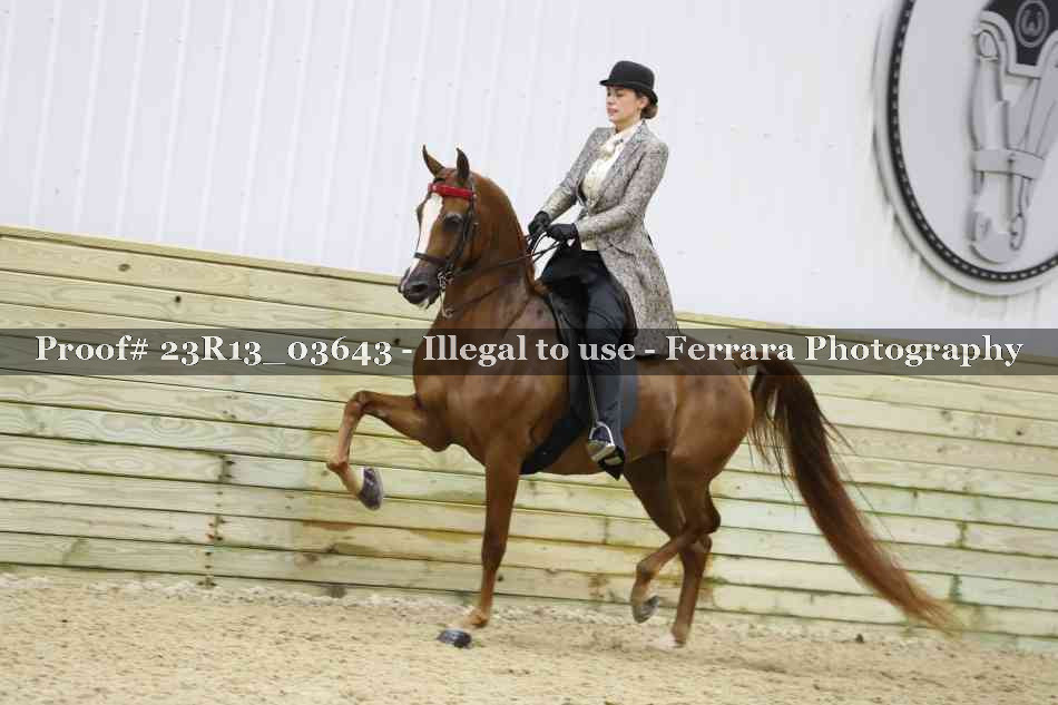 Proof 23R13_03643