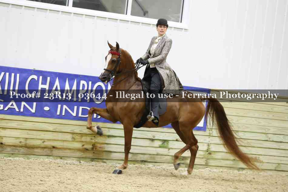 Proof 23R13_03644