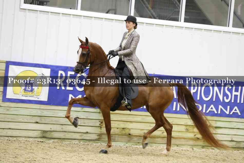 Proof 23R13_03645