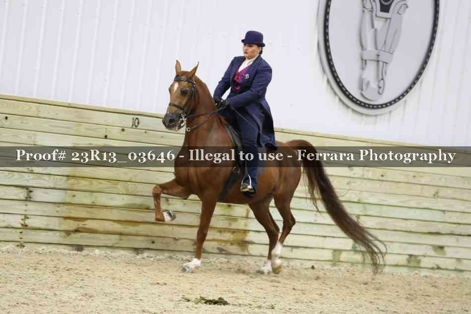 Proof 23R13_03646