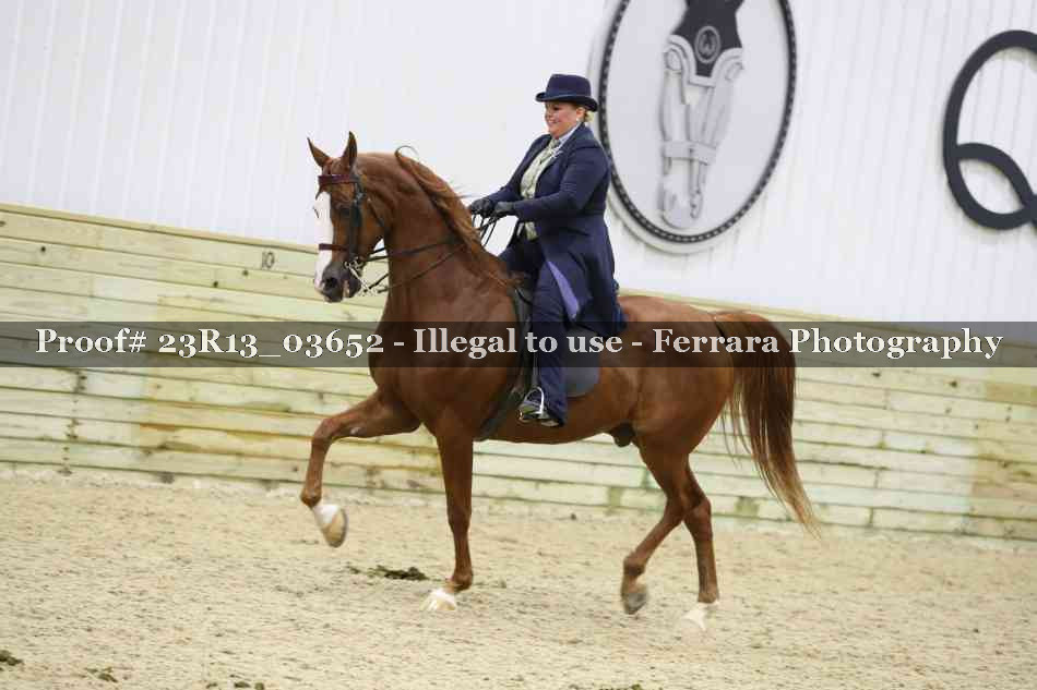 Proof 23R13_03652