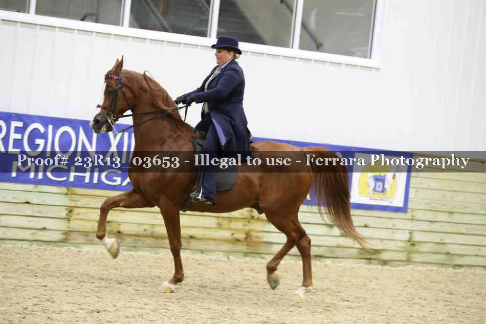Proof 23R13_03653