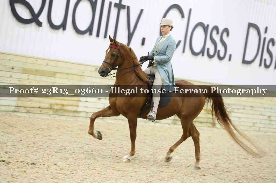 Proof 23R13_03660