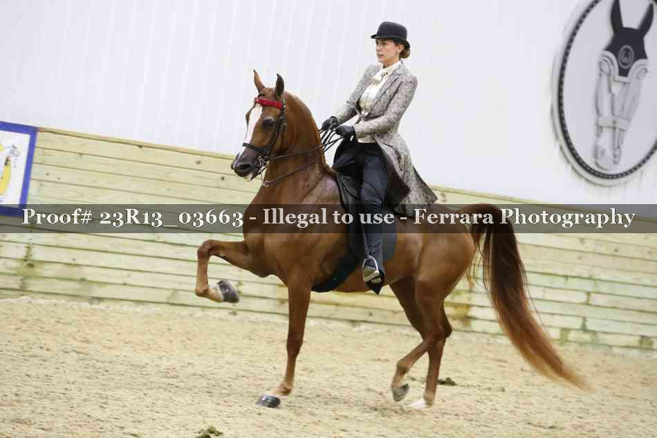 Proof 23R13_03663