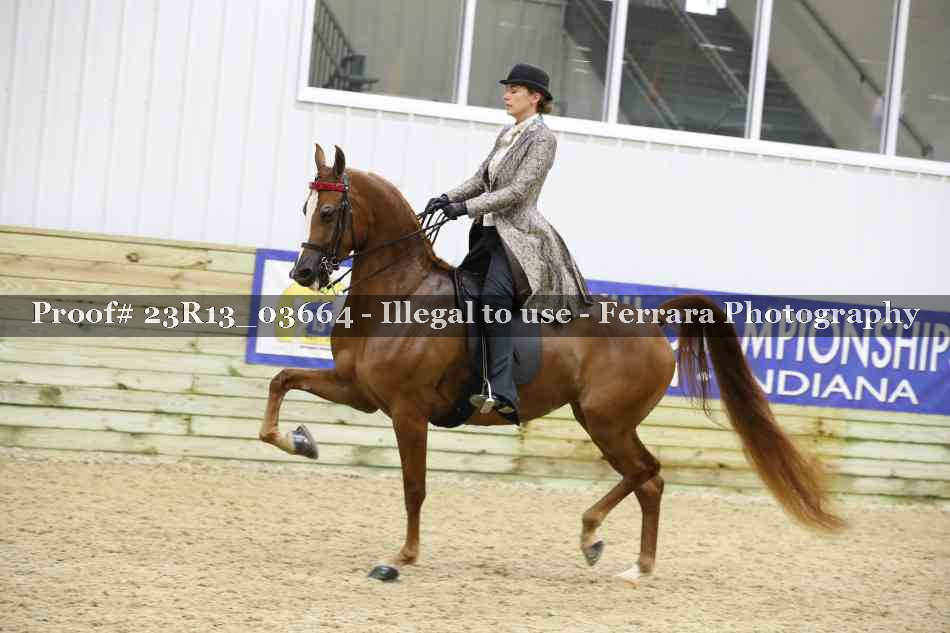 Proof 23R13_03664