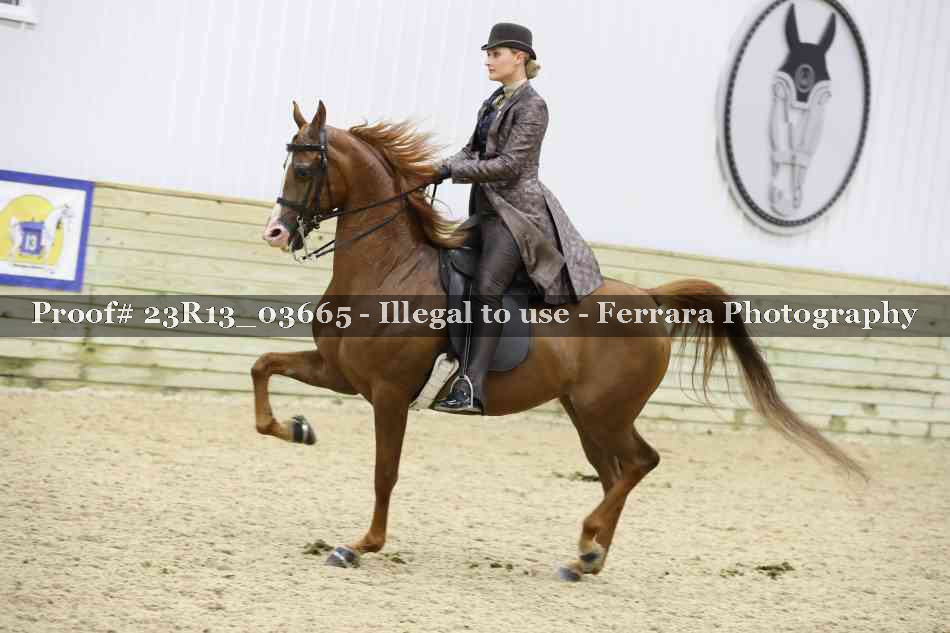 Proof 23R13_03665