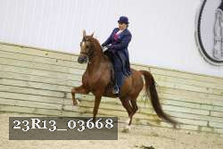 23R13_03668 proof