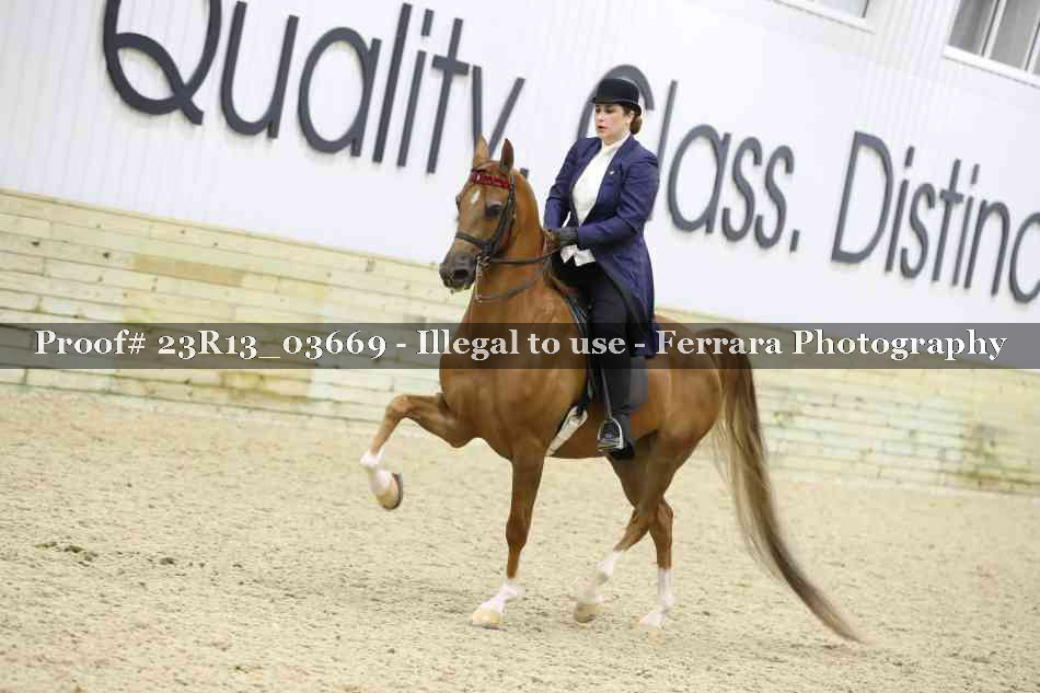 Proof 23R13_03669