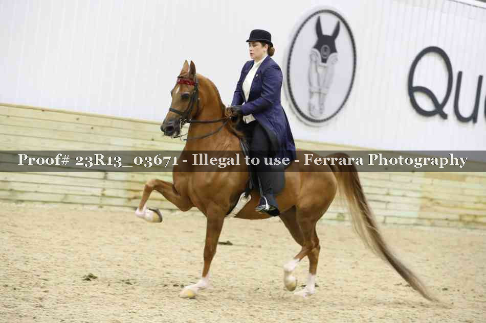 Proof 23R13_03671