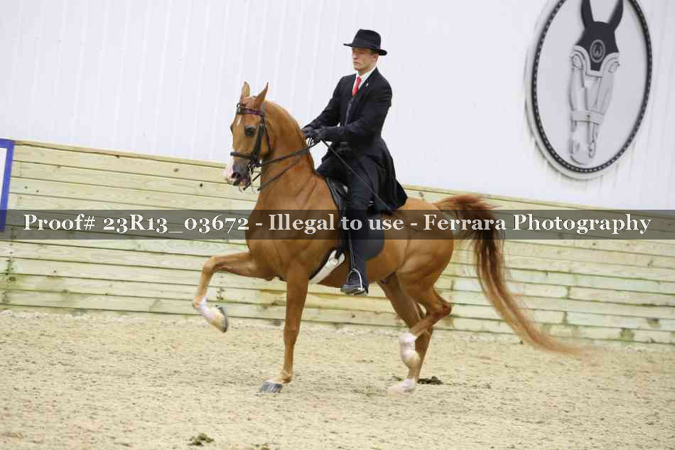 Proof 23R13_03672