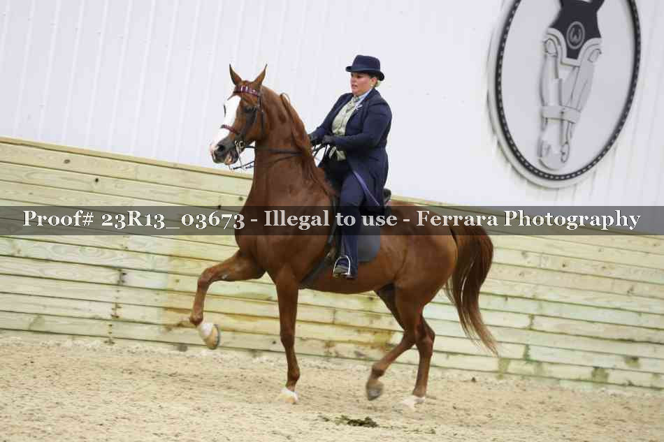 Proof 23R13_03673