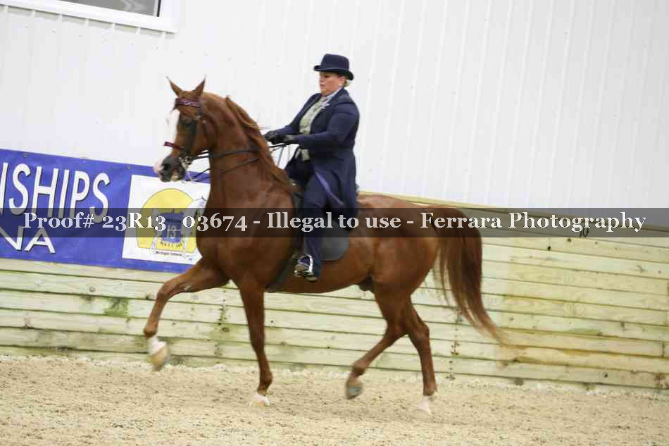 Proof 23R13_03674