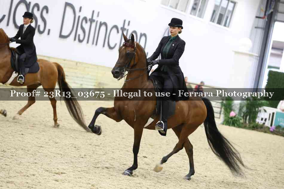 Proof 23R13_03675