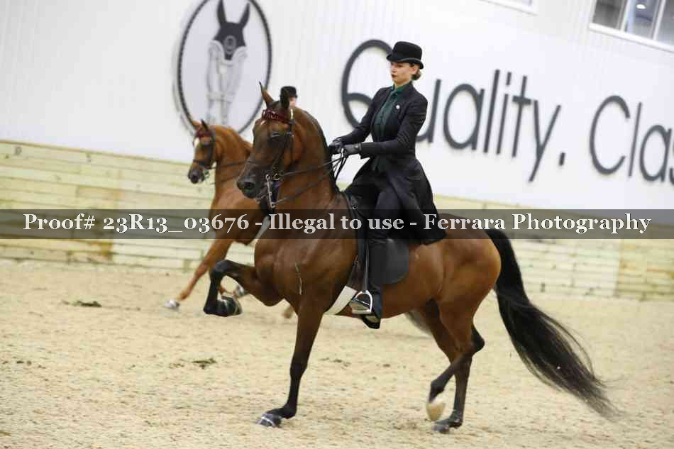 Proof 23R13_03676