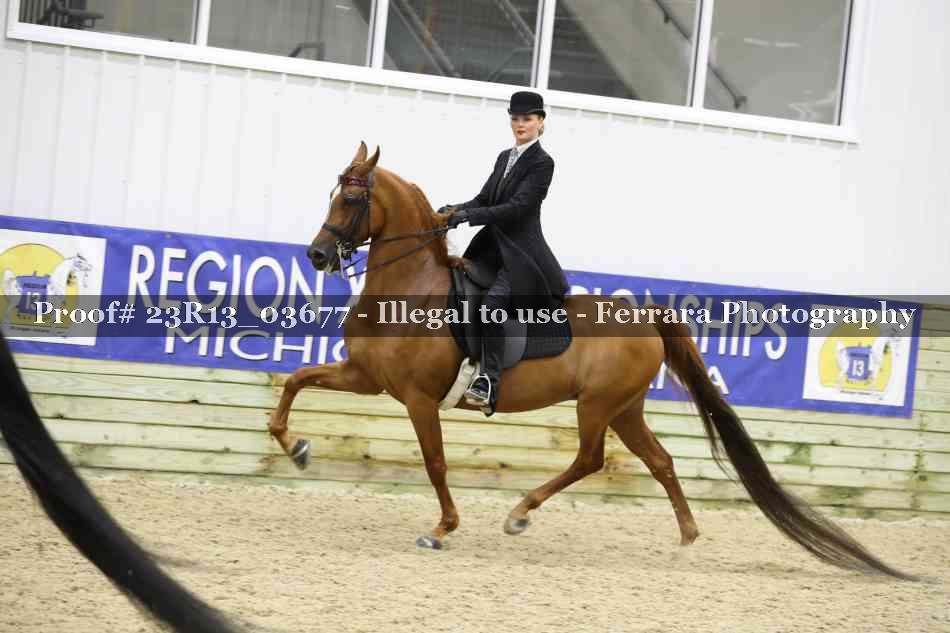 Proof 23R13_03677